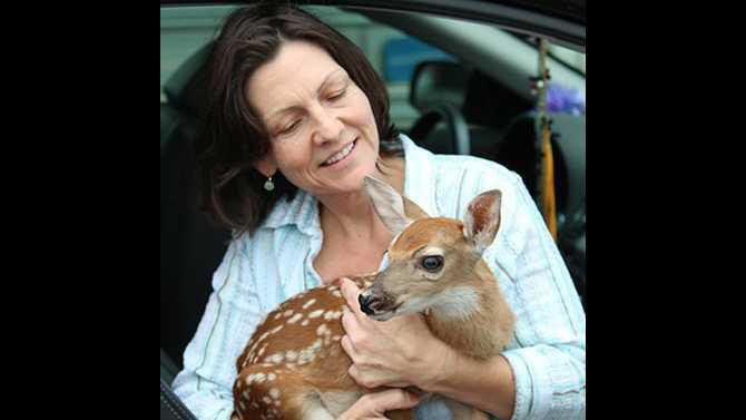 Baby-deer---faun-IMG 0583-2