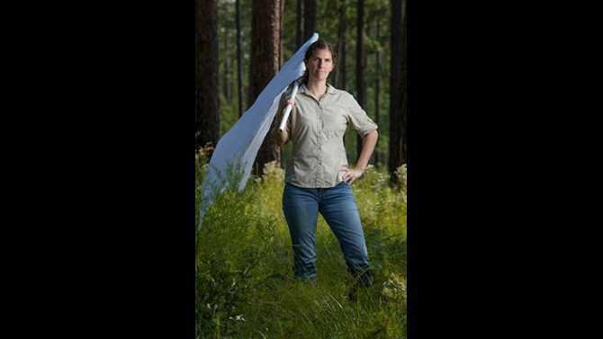 Oxford professor ticks Elizabeth Gleim Untitled low-res