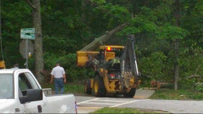 tree-clearing-on-Milstead-Ave-4-30-174-IMG 20140430 080500