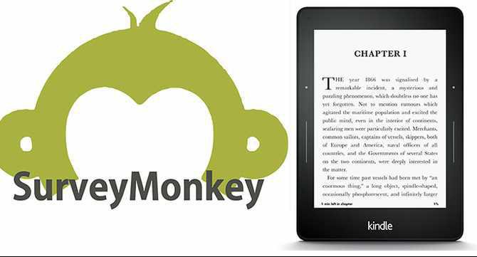 Rockdale News Survey 2015 with Kindle raffle