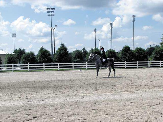 horse-park---6-grey-horiz