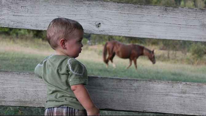 Russie-Skinner-boy-and-hors