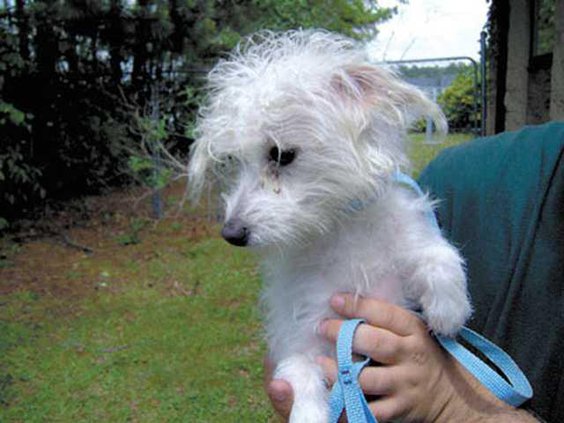 0509-POTW---HPIM1623