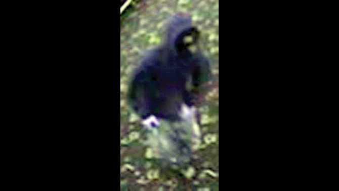 Starship-suspect-Inside