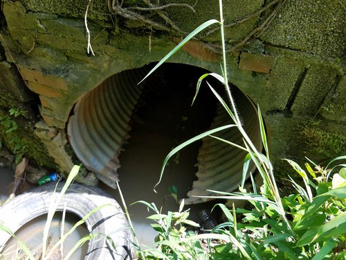 Rusted Culvert Walnut Lackey.jpg