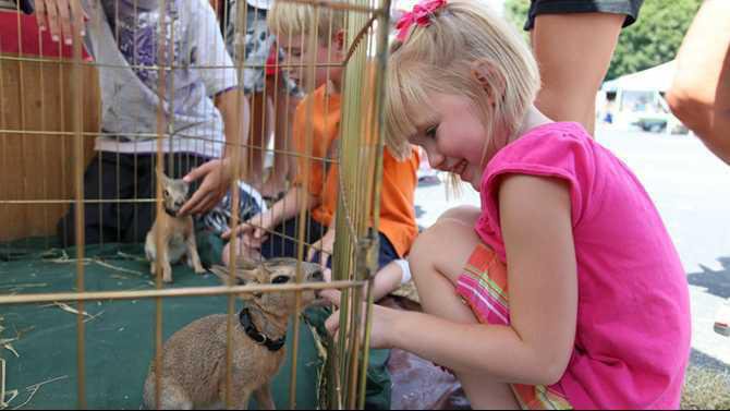 Big Haynes Wildlife fest 2011 - madelineMclintock IMG 0473