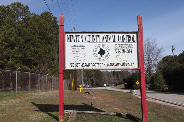 Animal services