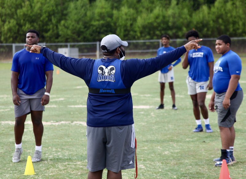Newton Summer FB 7