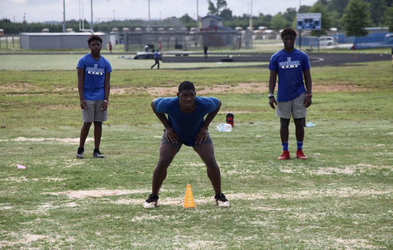 Newton Summer FB 12