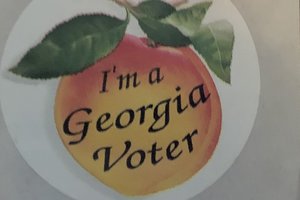 Georgia voter sticker