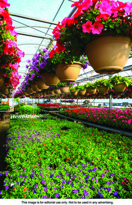 Garden center - metro