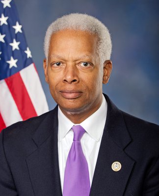 Hank Johnson 2021