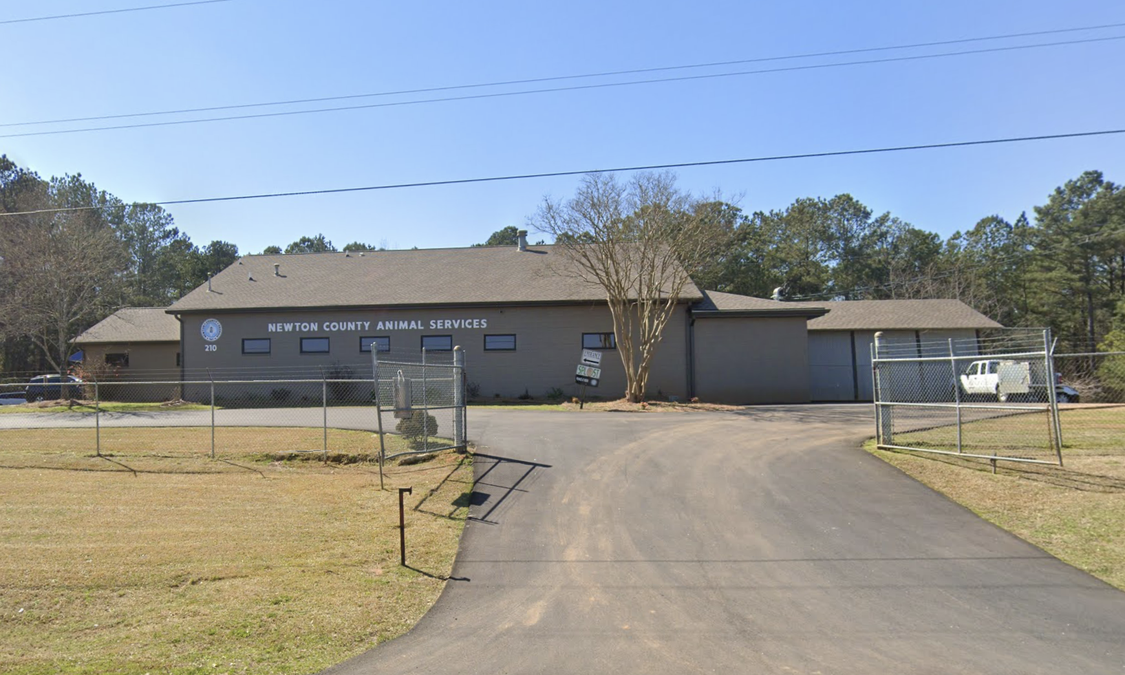 Newton board upholds two pitbulls #39 designation as #39 dangerous #39 The