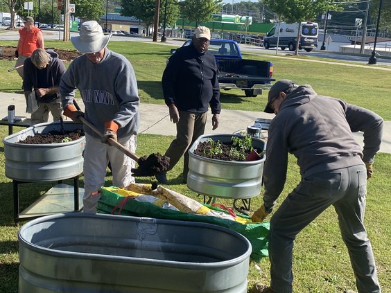 cricket frog trail garden