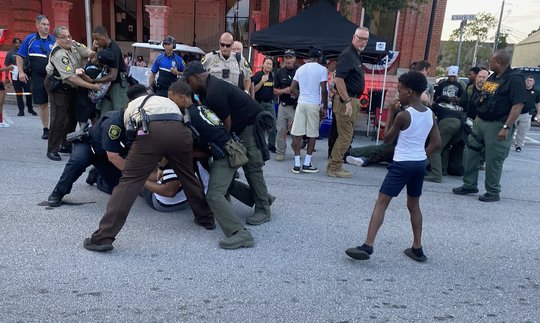 Five arrested during Independence at the Park celebration, officials say