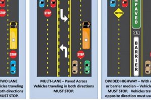 school bus law