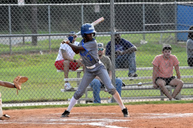 Newton South Gwinnett Softball 2025