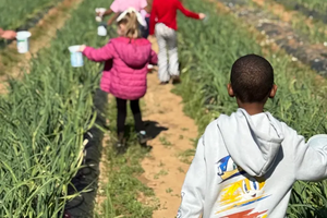 nef farm kids
