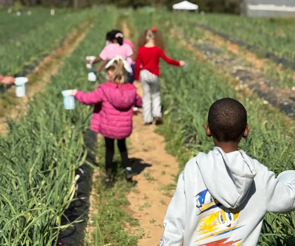 nef farm kids