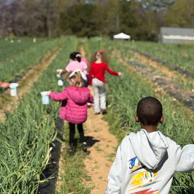 nef farm kids
