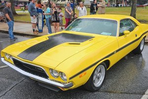 rotary car show