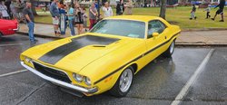 rotary car show