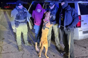 timothy shane capture