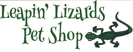 Leapin' Lizards holds toy drive and raffle until Dec. 20