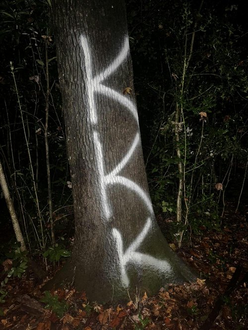 graffiti at oxford college