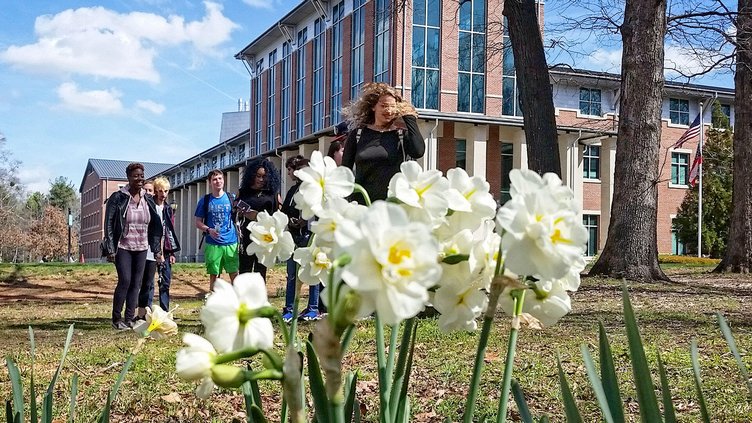 daffodil festival gsu