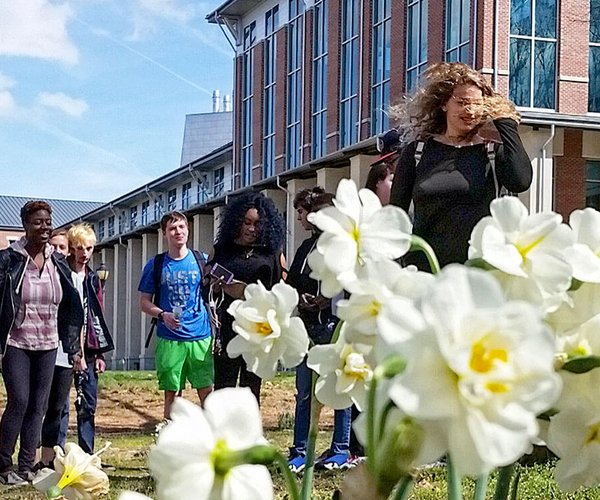 daffodil festival gsu