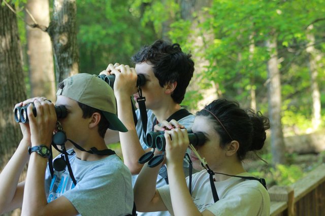 Registration now open for Georgia’s 20th Youth Birding Competition
