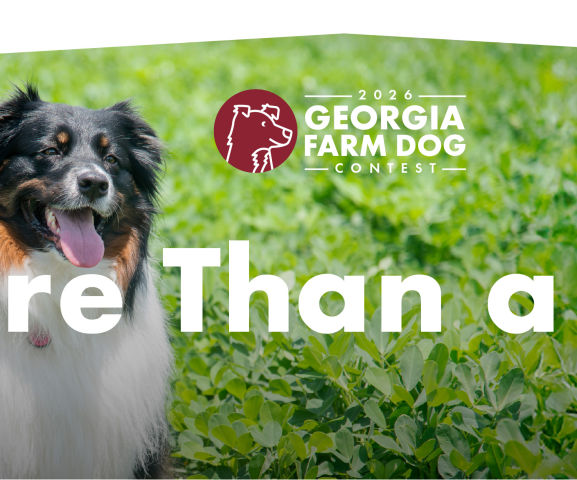 Georgia Farm Bureau Farm Dog