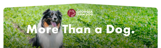 Georgia Farm Bureau seeks nominations for Farm Dog Contest