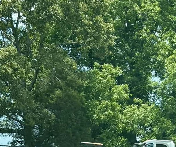 hwy 36 crash